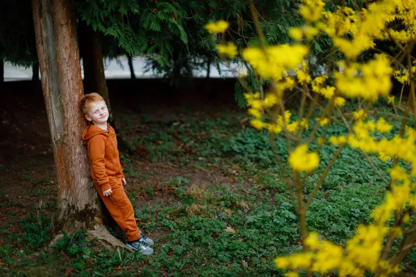 Dört yaşında bir çocuk yüzlerce farklı bitkiyle bir bahçede yürüyor. Sarı forsythia