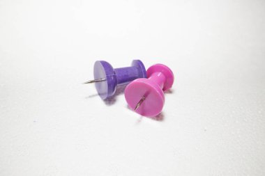 Beyaz arkaplanda iki lobut