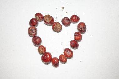 Kestaneler kalp gibi dizilmiş
