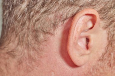 Erkek kulağı, saçları ve kafası var.