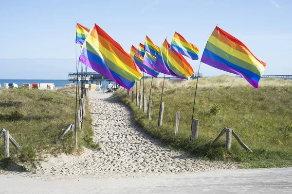 Banderas Orgullo Playa Del Mar Báltico — Foto de Stock
