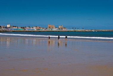 Bir köpekle sahilde yürüyen üç kişi.