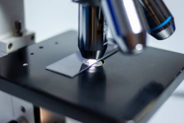 Biyolojik sıvılar üzerinde çalışmak için laboratuvar mikroskobu. 