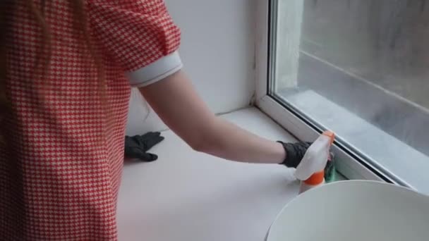 家庭和窗户的专业清洁剂 一个女人的手在家里用泡沫毛巾擦拭窗台 这个女孩做家务活 擦污渍 清洁和灰尘的概念 — 图库视频影像