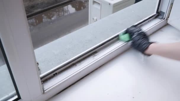 Das Mädchen Wischt Fensterbank Und Fensterrahmen Mit Einem Nassen Waschlappen — Stockvideo