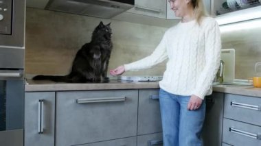 Bir kız evcil bir kediden pençe ister, mutfağın arka planında gri tüylü, büyük, yakışıklı bir adam yüksek kalite 4K görüntü vardır.