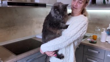 Kadın kollarında bir Maine Rakunu tutuyor, kedi kendini kurtarmaya çalışıyor ve kaçıyor. Kız kollarında büyük siyah bir Maine Coon kedisi sallıyor, zevkin yavaş çekimleri, ama kedi onun üzerinden atlıyor.