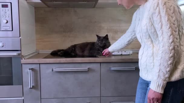 Fata Ajunge Pisica Neagră Dar Maine Coon Este Mulțumit Lovitură — Videoclip de stoc