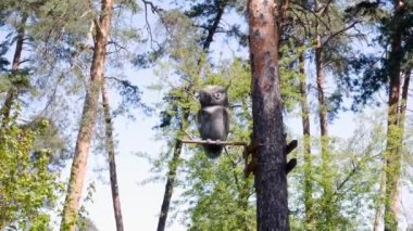 Baharda yeşil şehir parkı. Yapay büyük metal baykuşlar, geri kalanını ağaç yüksek kaliteli 4K görüntülerinden izliyor.