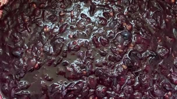 Mixing Grape Must Red Grapes Fermentation Owner Mixes Grape Must — Stock Video