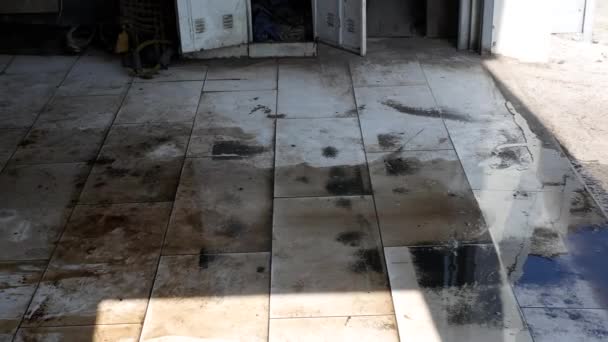 Ένας Σερβιτόρος Πλένει Πάτωμα Μια Σφουγγαρίστρα Όλο Βρώμικο Νερό Μετά — Αρχείο Βίντεο
