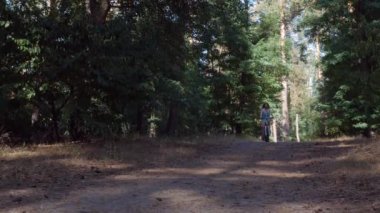 Güzel bir genç kız yeşil kozalaklı bir ormanda kumlu toprakta yeni dağ bisikletini sürüyor. Yüksek kalite 4k görüntü