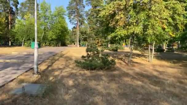 Flicka Cykel Går Sväng Hög Hastighet Cykeltur Parken Kvinna Går — Stockvideo