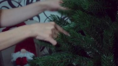 Genç bir kız yeşil bir Noel ağacının dallarını yayıyor, yakın plan. Noel için yeşil bir ağaç. Kızın ellerinin yakın plan fotoğrafı yapay bir yeni yıl ağacı topluyor yüksek kalite 4K görüntü.