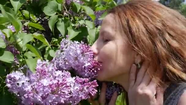 赤い髪の女の子は晴れた日にライラックの繊細な匂いを嗅ぎます 女の子は新鮮な紫色の香りを吸収し ライラックの春はかわいい紫色のパステル花で咲いています 高品質の4K映像 — ストック動画