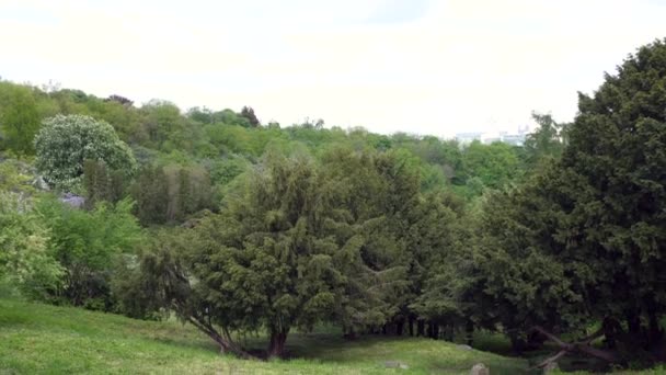 Jardin Botanique Printanier Ville Beaucoup Arbres Verts Panoramique Caméra Long — Video