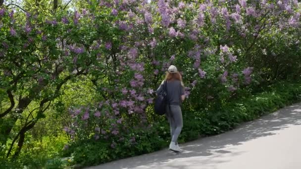 彼女の全身の若い女性が植物園を歩いていて 彼女は彼女の携帯電話でブルーミングライラックについてのビデオを撮影しています 高品質の4K映像 — ストック動画