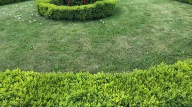 Şehir parkında düzenlenmiş sergi. Resmi tepeden tırnağa taşıyorum. Park alanında bahar günü. Yüksek kalite 4k görüntü