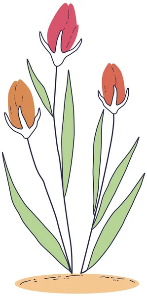 これは葉のついた鍋の中の花のイラストです 花や葉を持つ枝の手描きベクトルイラスト — ストックベクタ