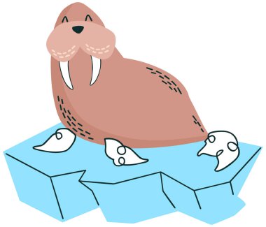 Kürklü bir penguenin resmi