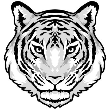 Bir kaplanın vektör çizimi