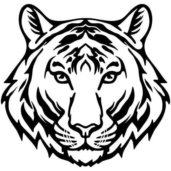 vector illustration of a tiger head