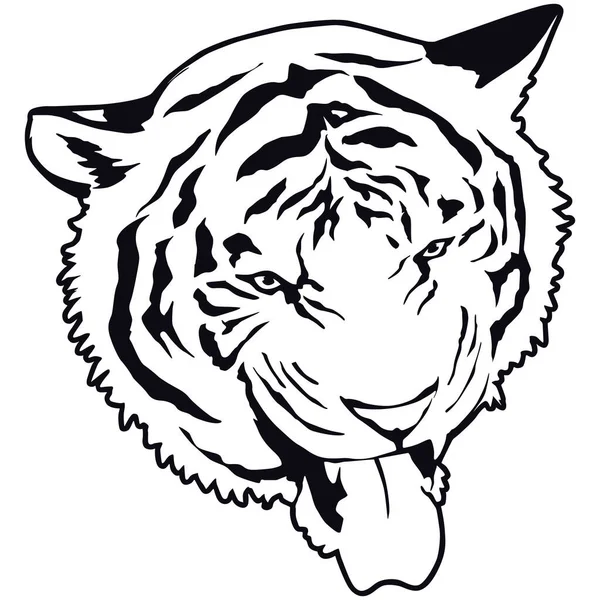 Illustration Vectorielle Tigre — Image vectorielle