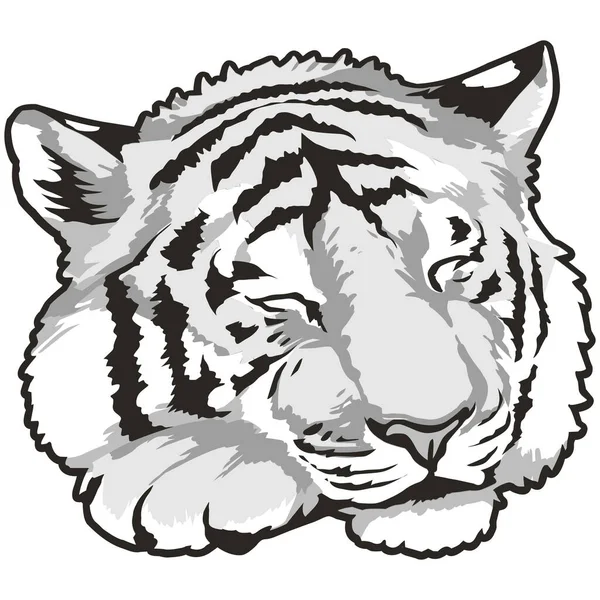 Vector Illustration Tiger — Stock Vector