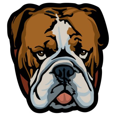 Şirin köpek. Hayvan suratlı. Vektör çizimi. Boğa köpek..