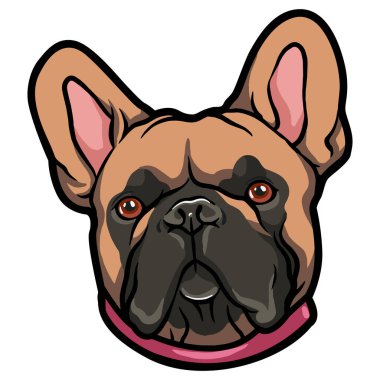 Şirin köpek. Hayvan suratlı. Vektör çizimi. Boğa köpek..