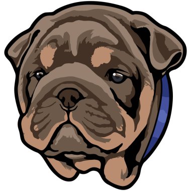 Şirin köpek. Hayvan suratlı. Vektör çizimi. Boğa köpek..