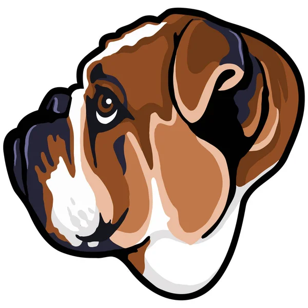 Милий Собака Обличчя Тварин Векторні Ілюстрації Бичачий Собака — стоковий вектор