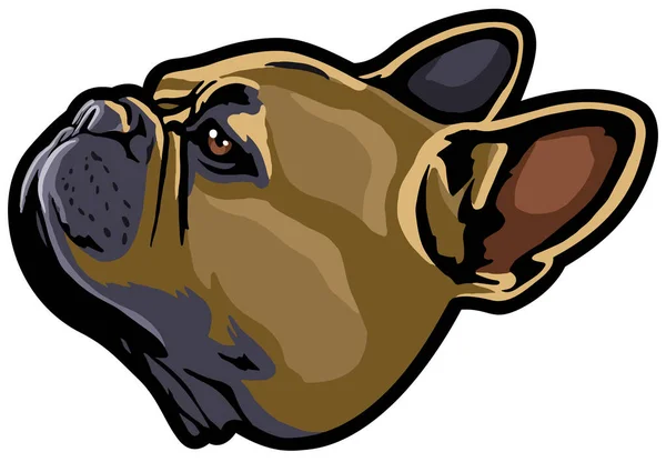 Милий Собака Обличчя Тварин Векторні Ілюстрації Бичачий Собака — стоковий вектор