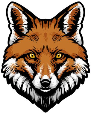 Tilki kafalı. Tilki kafalı. Vahşi tilki 