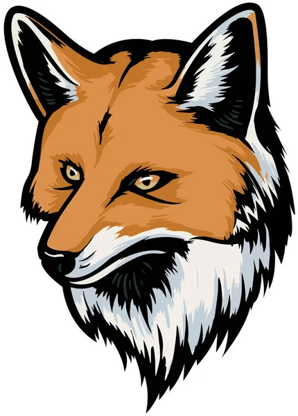 Wild Fox Head Illustration Vector White Background — Stock Vector