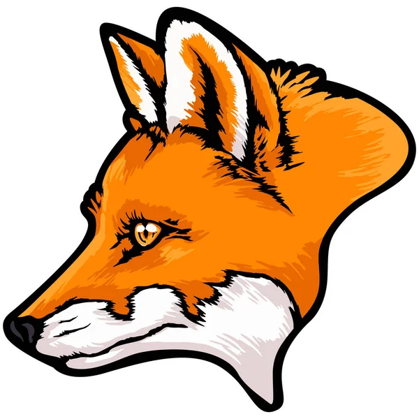 狐狸脸图解 野生的 — 图库矢量图片
