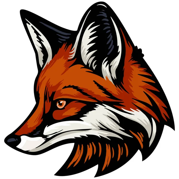 狐狸的头 白色背景上的矢量 — 图库矢量图片