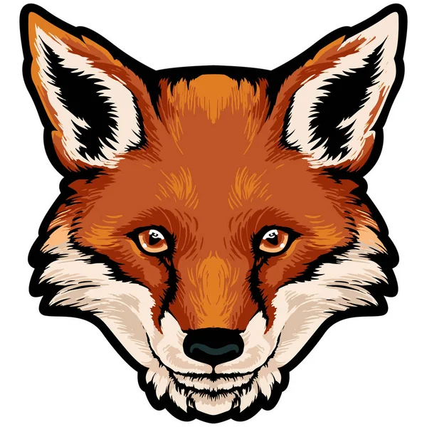 Fox Face Illustration Wild Wald Vektor — Stockvektor