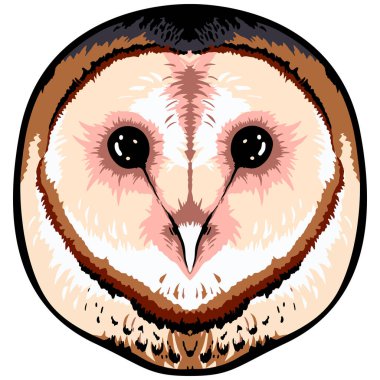 Baykuş yüzünün vektör illüstrasyonu 