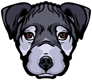 Statfordshire Terrier 'in başkanı. 