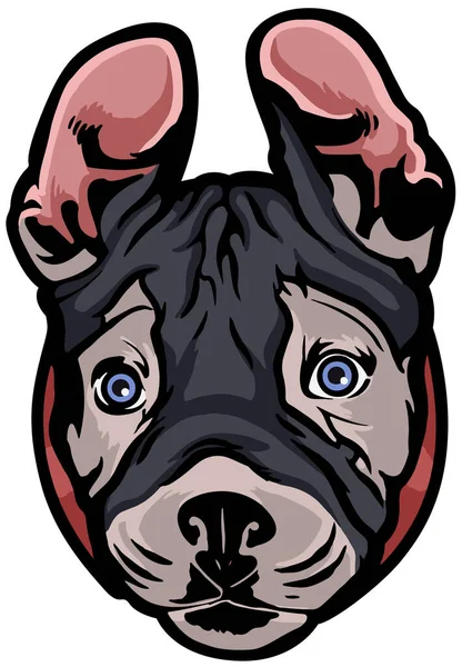 Bulldog Head Tattoo — Stock Vector