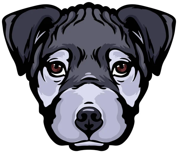 Head Staffordshire Terrier — Stock Vector