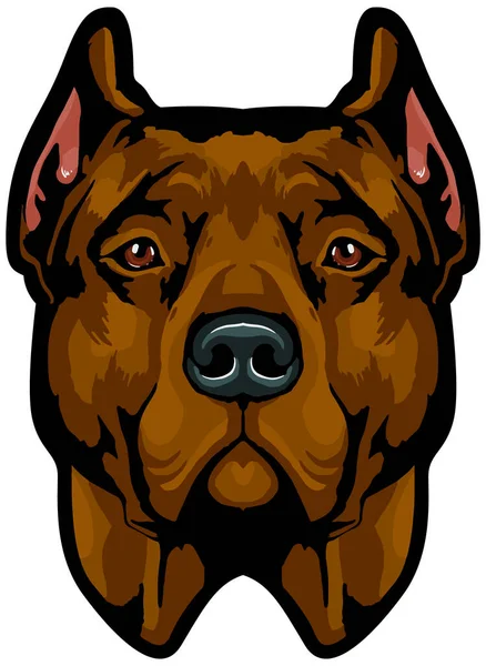Vector Image Dog Bulldog — Stock Vector