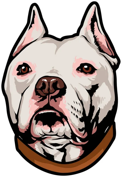 Bulldog Head Vector Illustration — Stock Vector