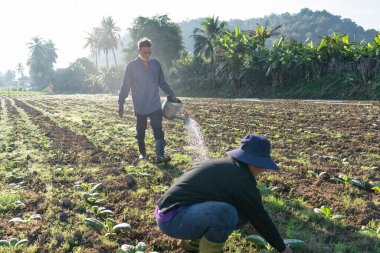 Bahçede güzel bir gün ışığında ağaç yetiştiren çiftçi. Sulama kabı suyu yayar.