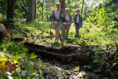 Sıraya girip ormanda odunları aşan turist açık hava macera kuşu çalışması.