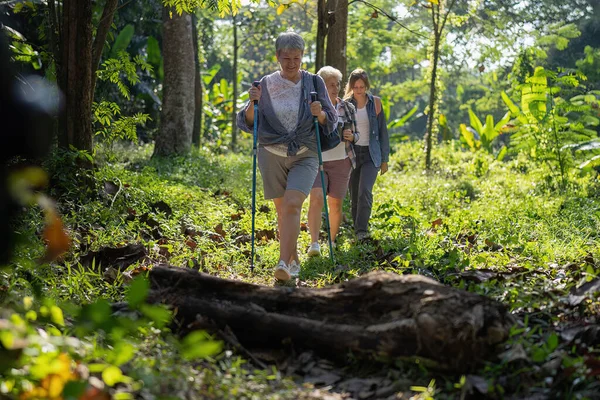 Backpack tourist outdoor adventure bird study walking in row crossing wood on floor in jungle