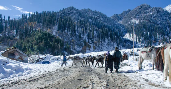 A view of Manali, India.