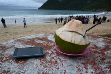 Tatillerde plaj atmosferi olan taze hindistan cevizleri..