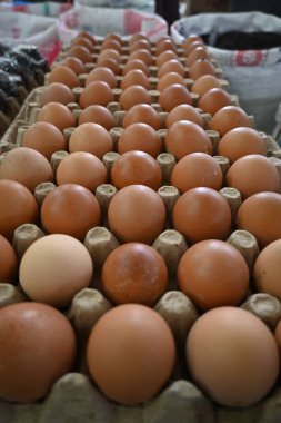 Geleneksel yumurta pazarı